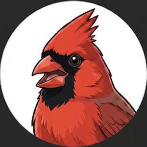 Backyard Bird Mind channel avatar